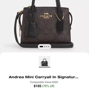 Mini Coach Bag